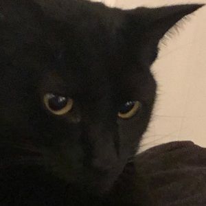 Meet your Posher, Anne